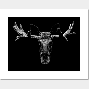 Elk Posters and Art